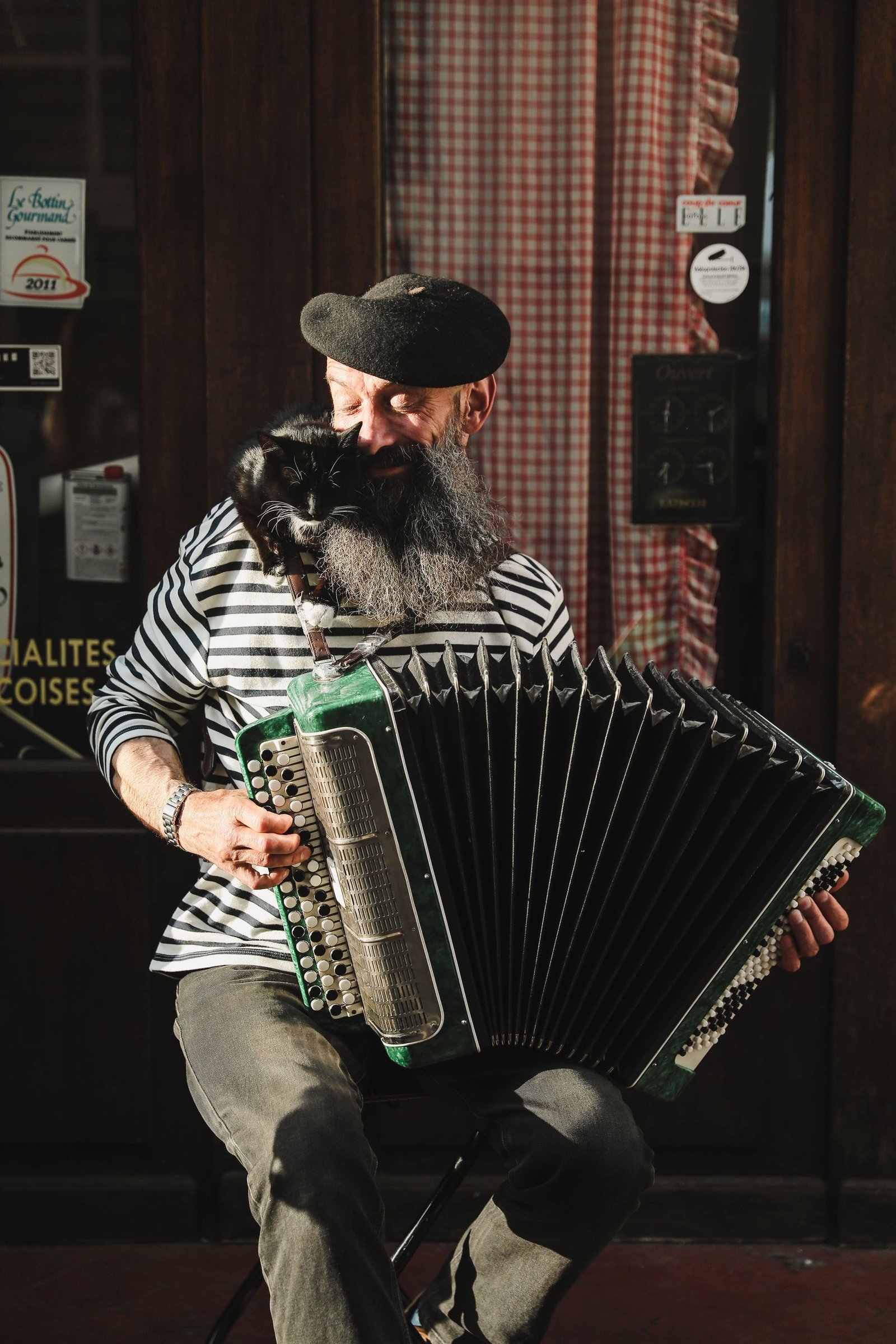A street musician wearing a hat plays an accordion outdoors with a cat on his shoulder.
